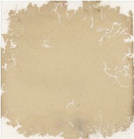 光緒十九二十年陳協隆號出入數簿藏品圖，第6張