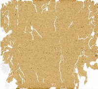 光緒九年陳協和號出入數簿藏品圖，第60張