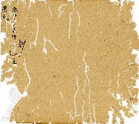 光緒九年陳協和號出入數簿藏品圖，第68張