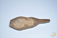 木胎金魚紋製糕模具藏品圖，第1張