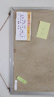 于右任書法藏品圖，第3張