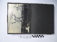 黃則修攝影作品相簿藏品圖，第16張