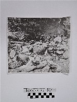 黃則修攝原住民合影照藏品圖，第1張