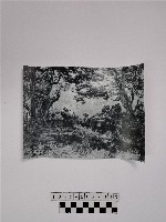 黃則修攝原住民合影照藏品圖，第1張