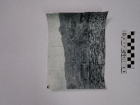 黃則修攝風景藏品圖，第1張