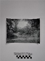 黃則修攝風景藏品圖，第1張