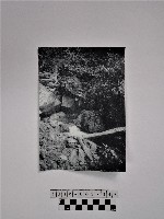 黃則修攝山林藏品圖，第1張