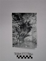 黃則修攝山林洞穴藏品圖，第1張