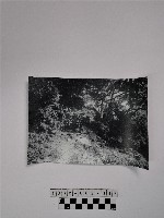 黃則修攝山林藏品圖，第1張