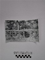 黃則修攝人頭櫃繪圖藏品圖，第1張