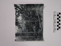 黃則修攝部落集會藏品圖，第1張