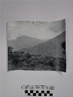 黃則修攝山林藏品圖，第1張