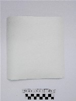 黃則修攝原住民合影照藏品圖，第2張