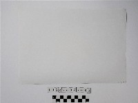 黃則修攝石板人頭櫃藏品圖，第2張