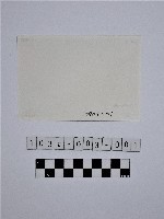 黃則修攝野柳地景藏品圖，第2張