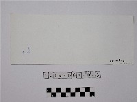 黃則修攝野柳地景藏品圖，第2張