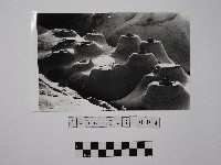 黃則修攝野柳地景燭臺石藏品圖，第1張