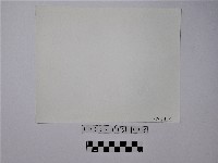 黃則修攝野柳地景藏品圖，第2張