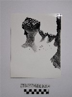 黃則修攝野柳地景蕈狀岩藏品圖，第1張