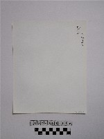 黃則修攝野柳地景蕈狀岩藏品圖，第2張