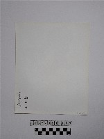 黃則修攝野柳地景蕈狀岩藏品圖，第2張