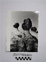 黃則修攝野柳地景蕈狀岩藏品圖，第1張