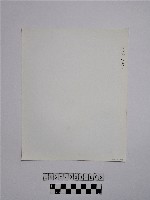 黃則修攝野柳地景蕈狀岩藏品圖，第2張