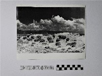 黃則修攝野柳地景蕈狀岩藏品圖，第1張