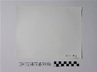 黃則修攝野柳地景蕈狀岩藏品圖，第2張