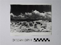 黃則修攝野柳地景蕈狀岩藏品圖，第1張