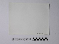 黃則修攝野柳地景蕈狀岩藏品圖，第2張