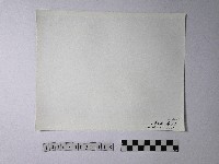 黃則修攝野柳地景藏品圖，第2張