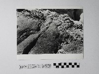 黃則修攝野柳地景藏品圖，第1張