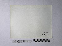 黃則修攝野柳地景藏品圖，第2張