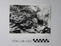 黃則修攝野柳地景藏品圖，第1張