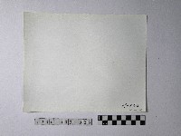 黃則修攝野柳地景藏品圖，第2張