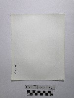 黃則修攝野柳地景藏品圖，第2張