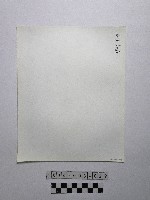 黃則修攝野柳地景藏品圖，第2張