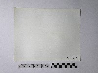 黃則修攝野柳地景藏品圖，第2張