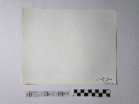 黃則修攝野柳地景藏品圖，第2張