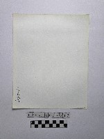 黃則修攝野柳地景燭臺石藏品圖，第2張