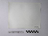 黃則修攝野柳地景藏品圖，第2張