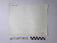 黃則修攝野柳地景藏品圖，第2張