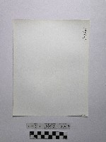 黃則修攝野柳地景藏品圖，第2張