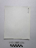 黃則修攝野柳地景藏品圖，第2張