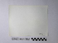 黃則修攝野柳地景藏品圖，第2張