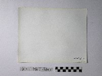 黃則修攝野柳地景藏品圖，第2張