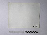 黃則修攝野柳地景藏品圖，第2張