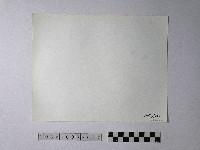 黃則修攝野柳地景蜂窩岩藏品圖，第2張