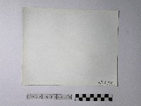 黃則修攝野柳地景藏品圖，第2張
